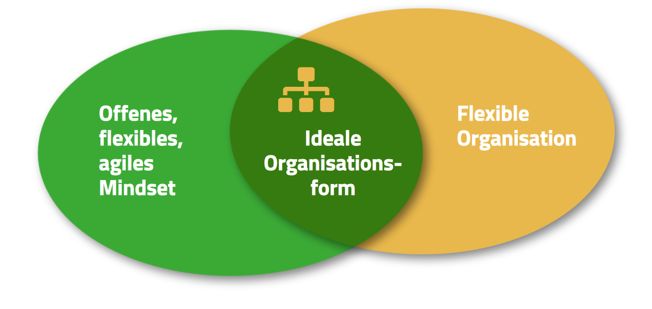 Grafik zur idealen organisation